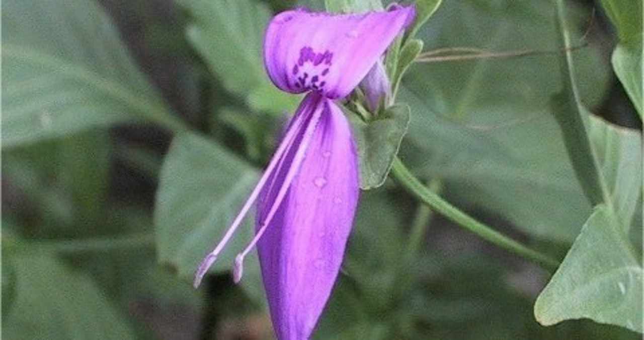 お花のある生活 の新着タグ記事一覧 Note つくる つながる とどける お花のある生活 の新着タグ記事一覧 Note つくる つながる とどける