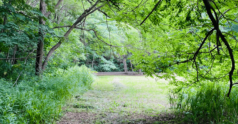 白い髭の男 の新着タグ記事一覧 Note つくる つながる とどける