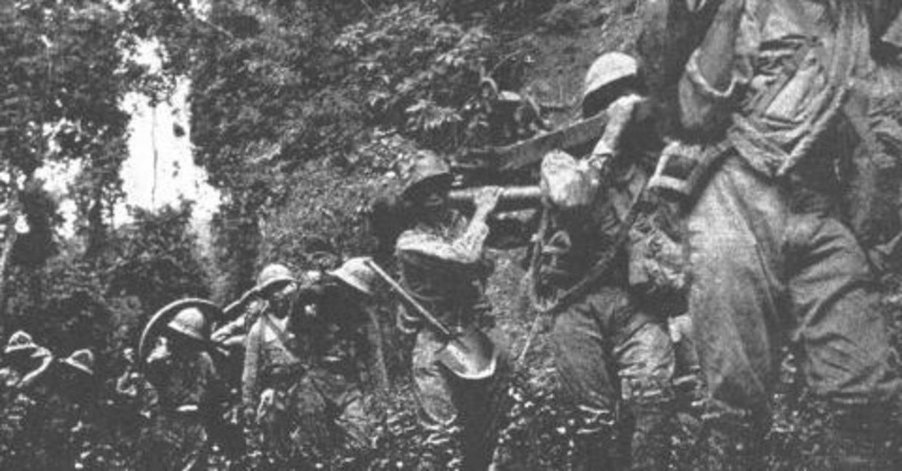 負け犬の遠吠え 大東亜戦争21 ニューギニアの戦い②山を越え、谷を