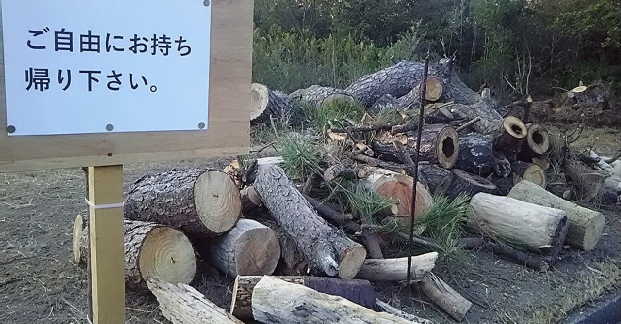 高品質 海からの贈り物、流木。｜スー コレクション