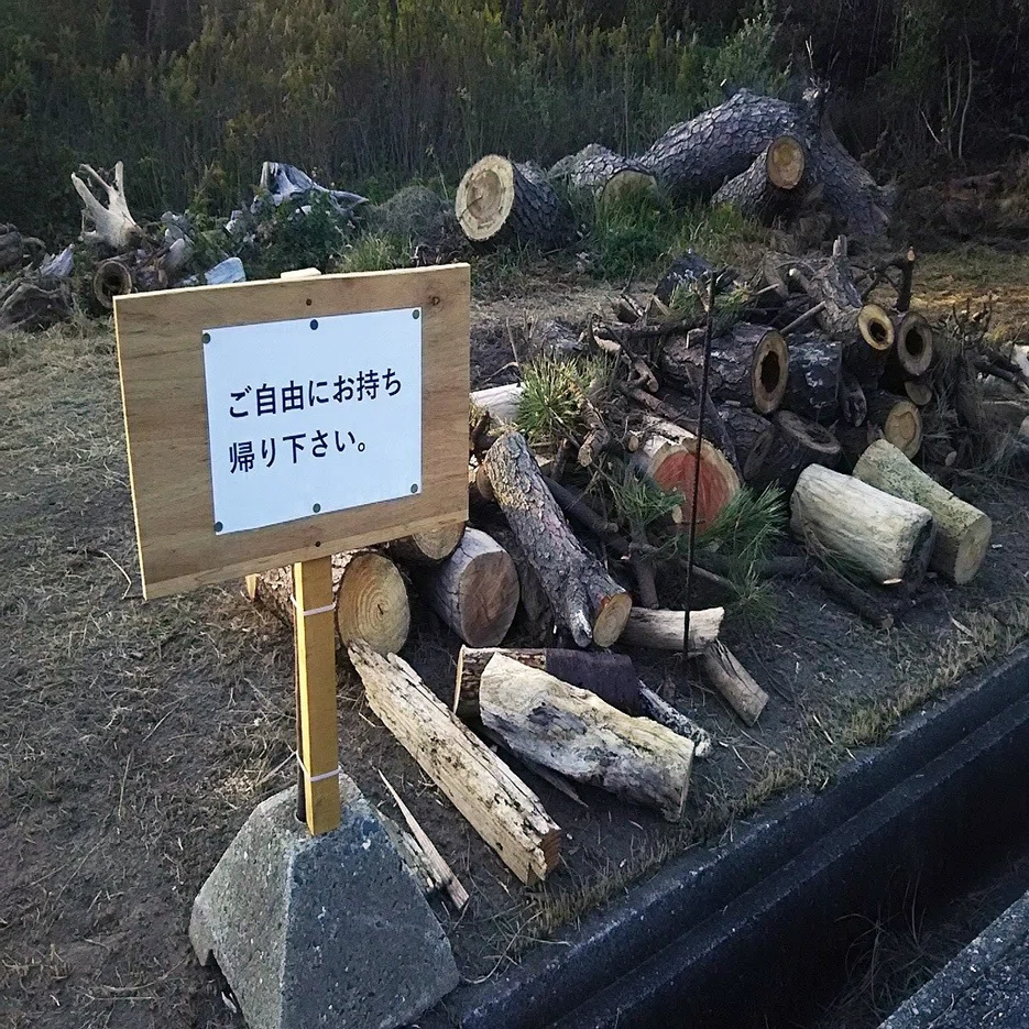 海からの贈り物、流木。｜スー