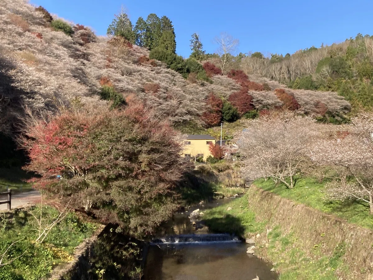 画像22
