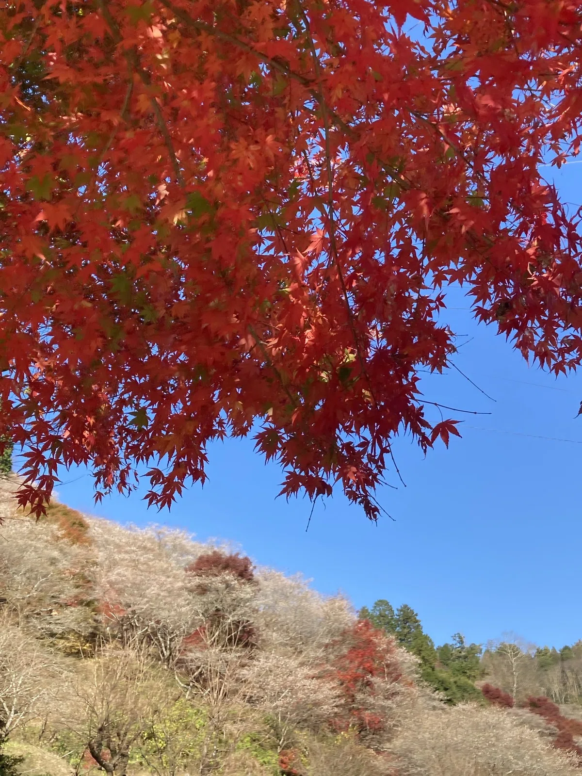 画像23