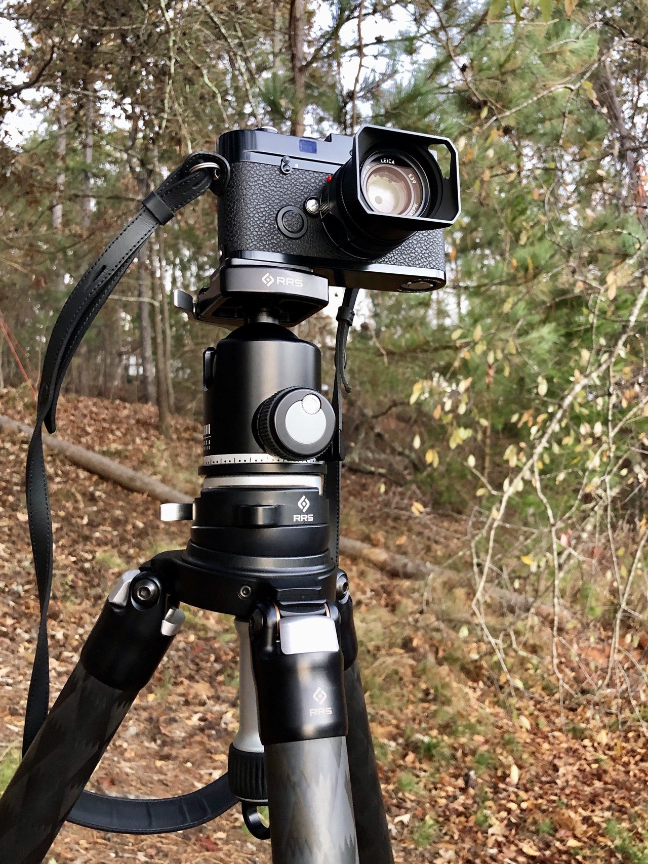 んんん？故障している？ 新品のLEICA MP 0.72｜MOJA MOJA