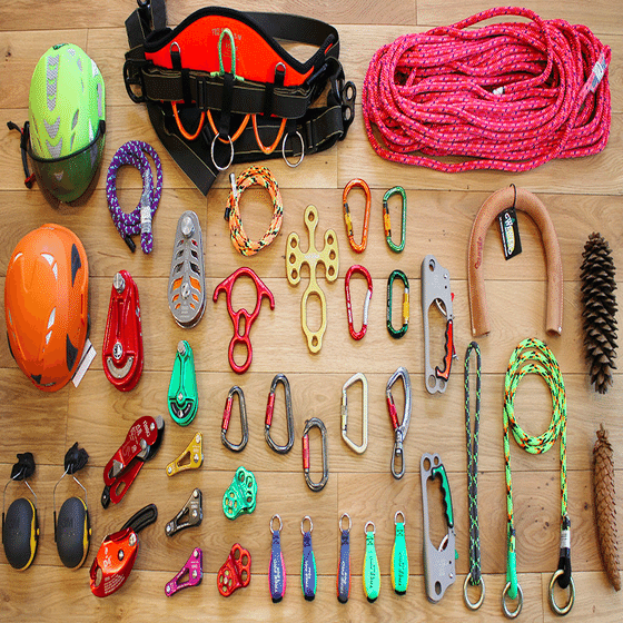 ツリークライミング 木にのぼるさまざまなテクニックと認定 Shinmr Note