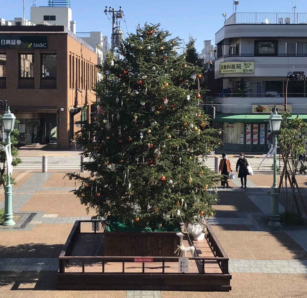 画像4