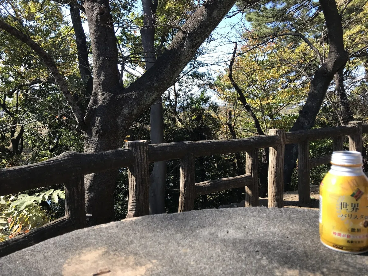 画像5