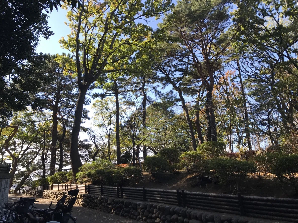 画像7