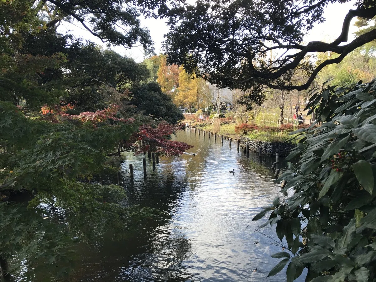 画像8