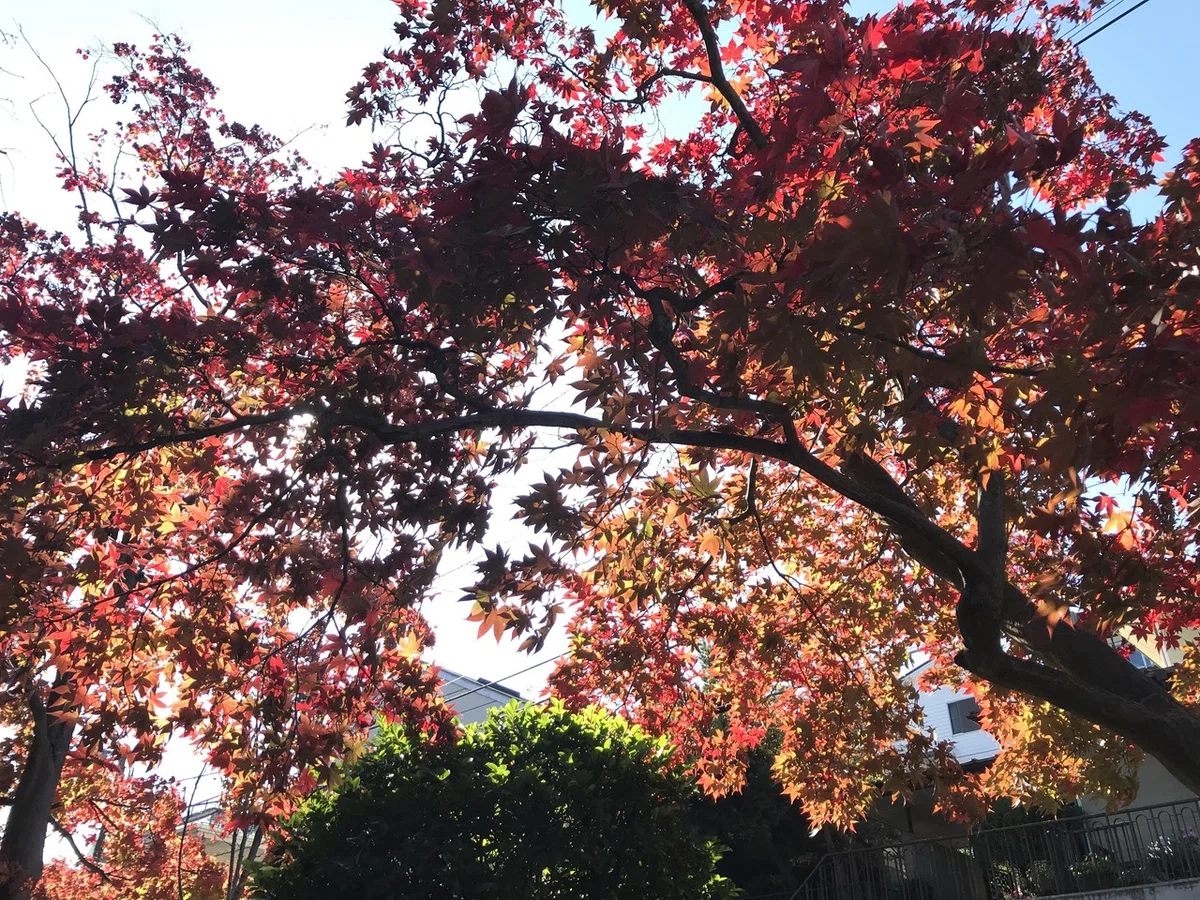 画像9