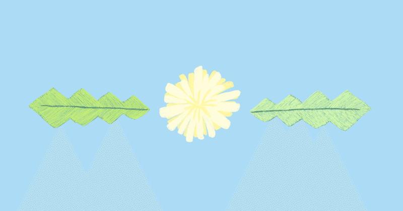ばらの花 くるり Hisataroh358 Note ばらの花 くるり Hisataroh358 Note