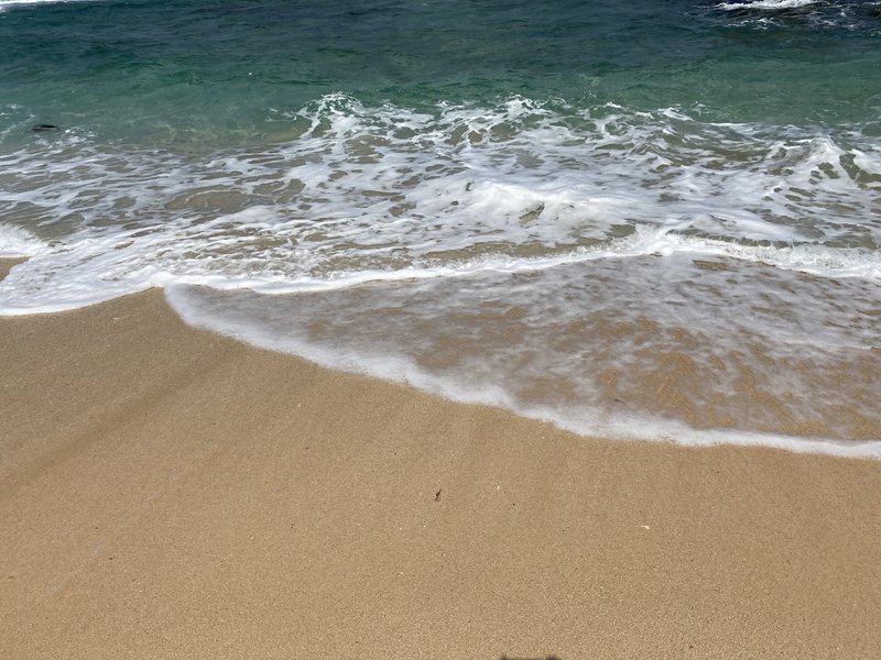 ときには適当にやってみよう 脇 瑞樹 Note