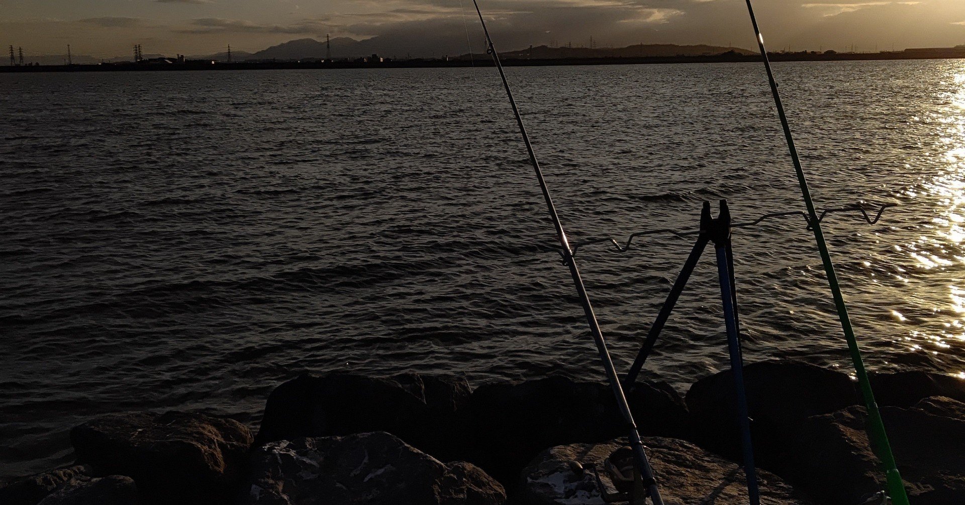 アメリカナマズの釣り方 イカノフ Note アメリカナマズの釣り方 イカノフ Note