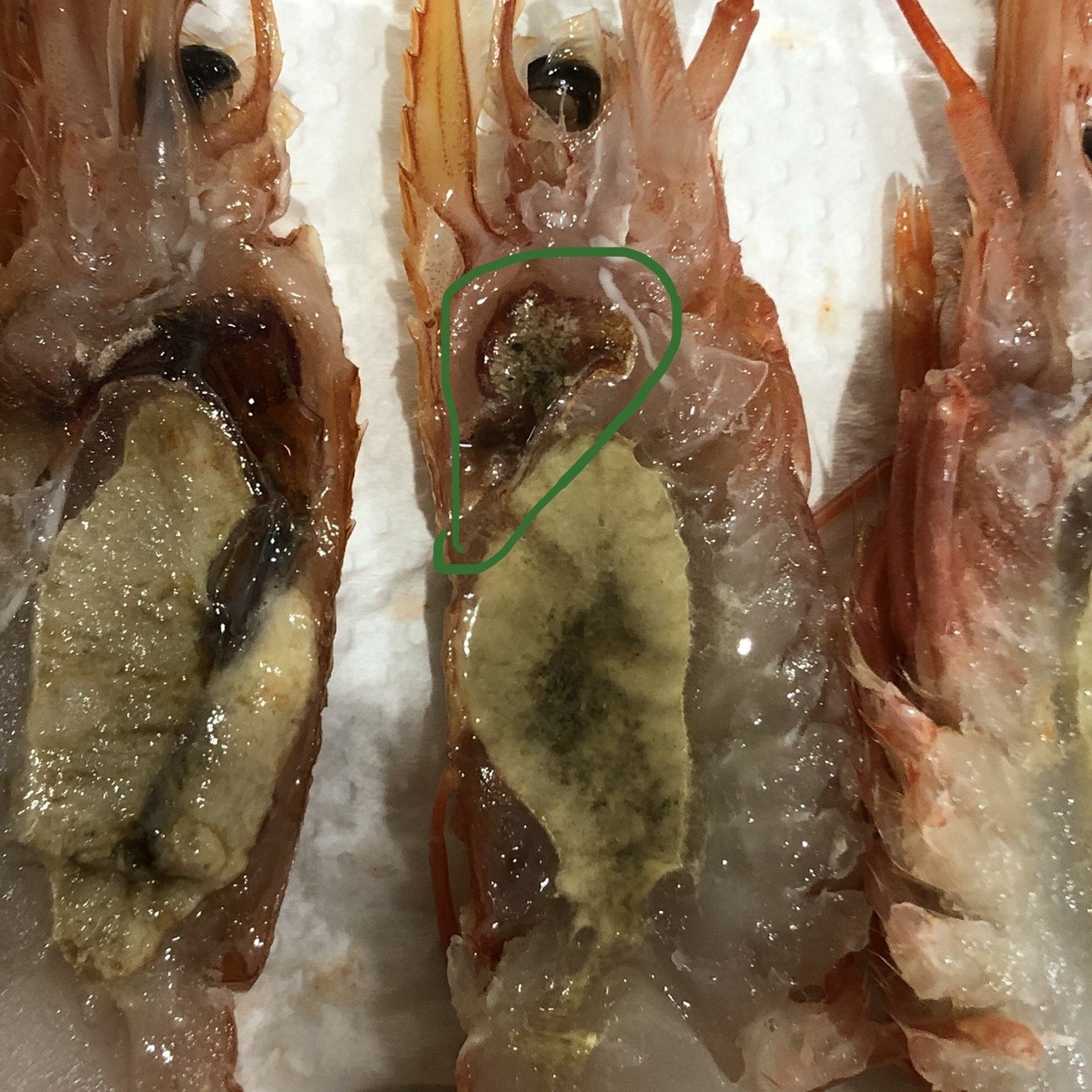 パーティーメニューno 1 2 アルゼンチン赤エビの濃厚パスタ Mamige Note