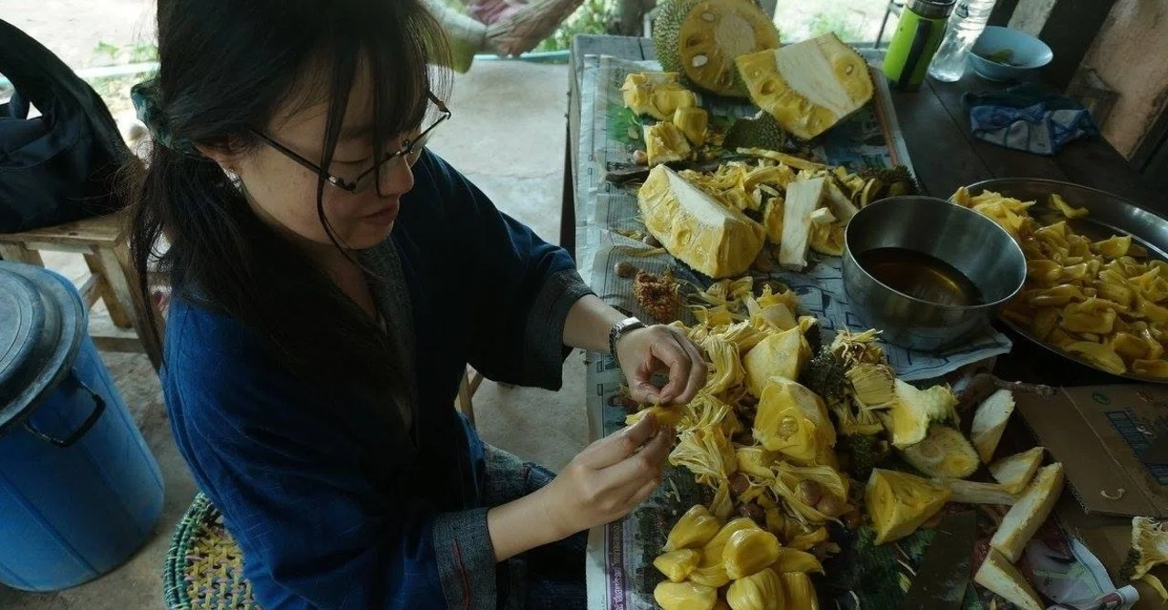 里山文庫/台湾文庫の自己紹介｜民族植物と食の実験室 | 里山文庫@奈良