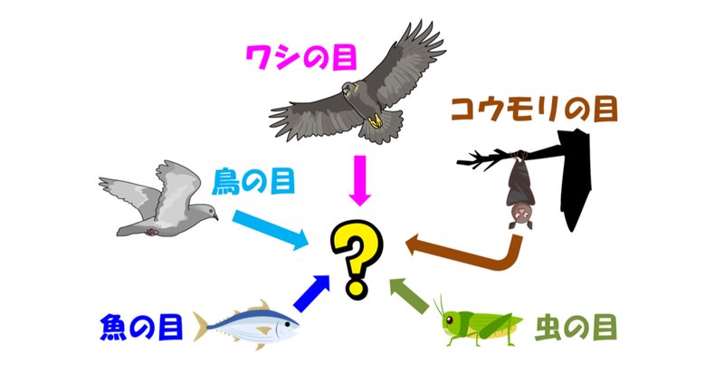 魚の目 の急上昇タグ記事一覧 Note つくる つながる とどける
