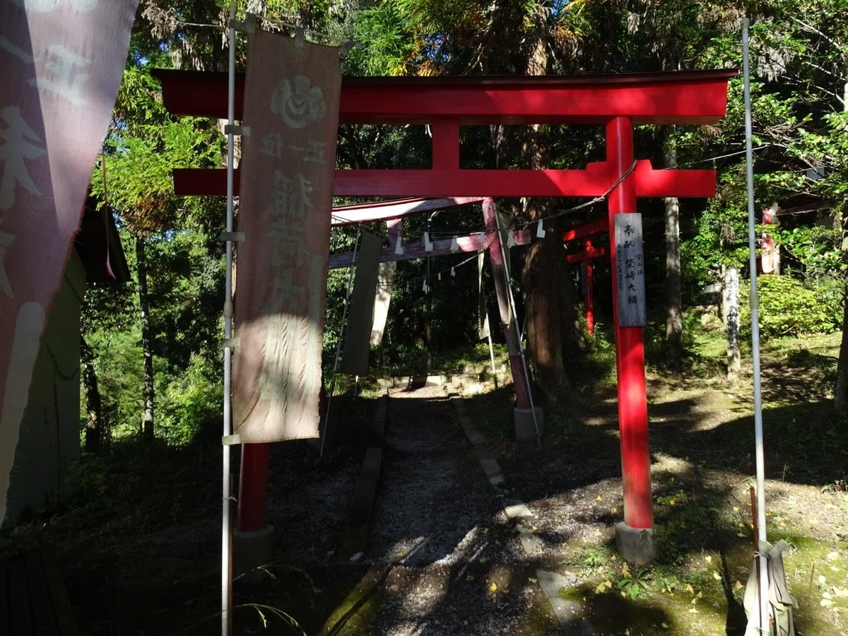 画像5