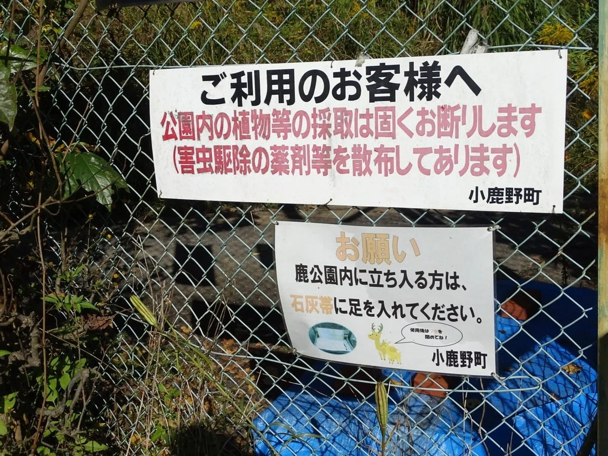 画像6
