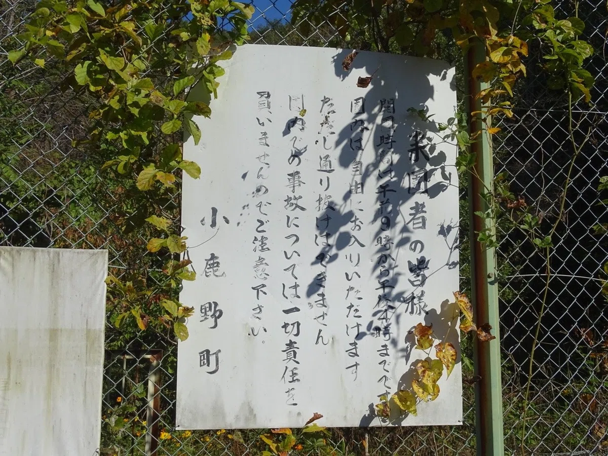 画像7