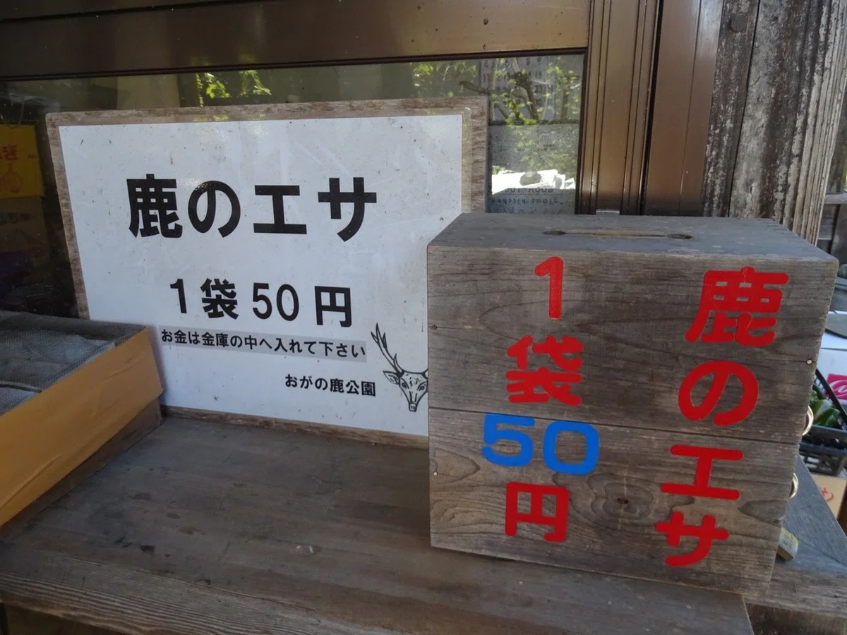 画像11