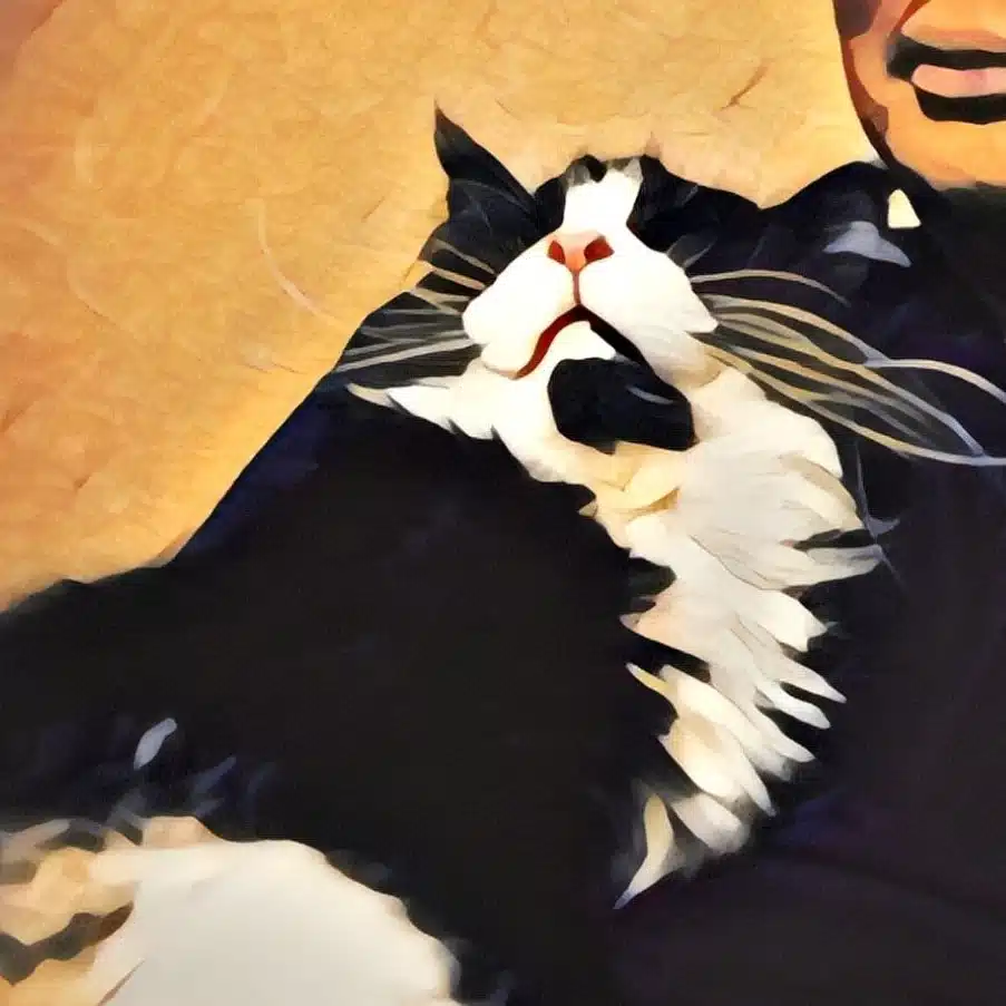cat3lives