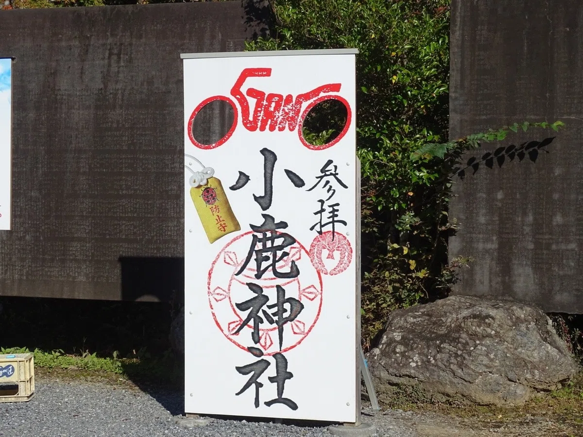 画像19