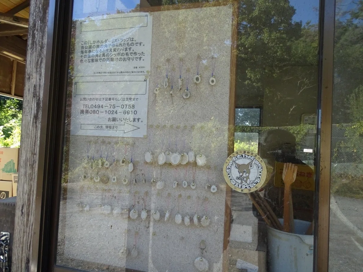 画像24