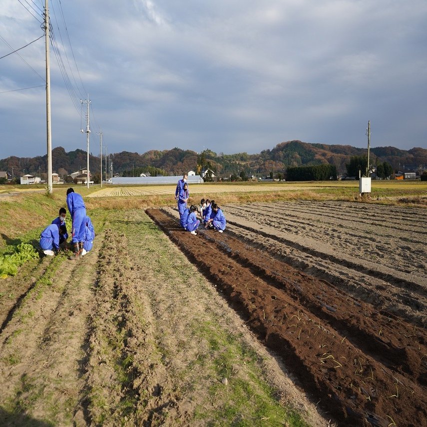畑作業を通した地域交流 里山百手プロジェクト Note