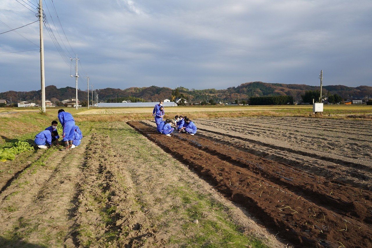 畑作業を通した地域交流 里山百手プロジェクト Note 畑作業を通した地域交流 里山百手プロジェクト Note