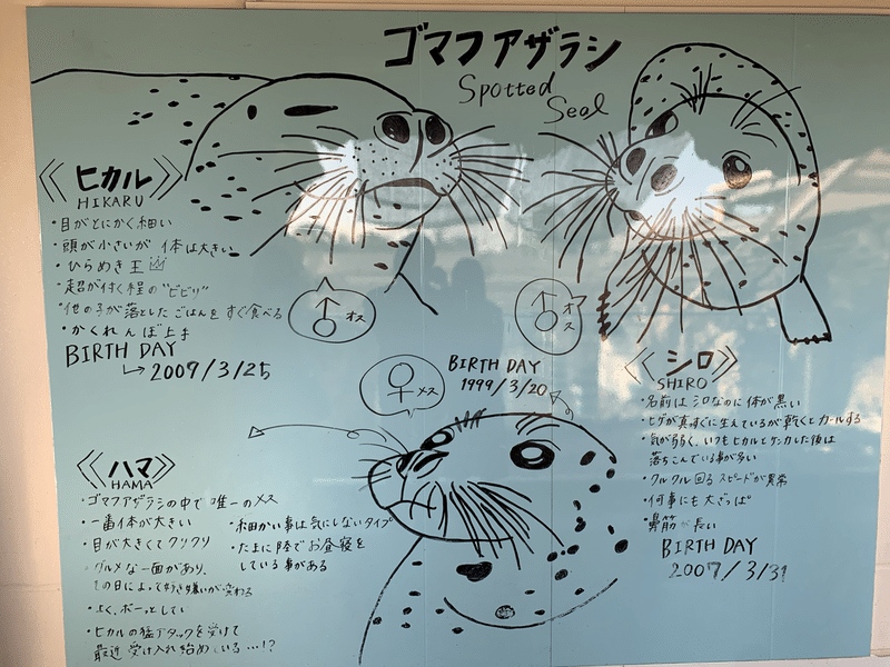 京都水族館に行ったら 水族館嫌いの僕が 水族館を好きになった話 仁田直人 にったなおと Note