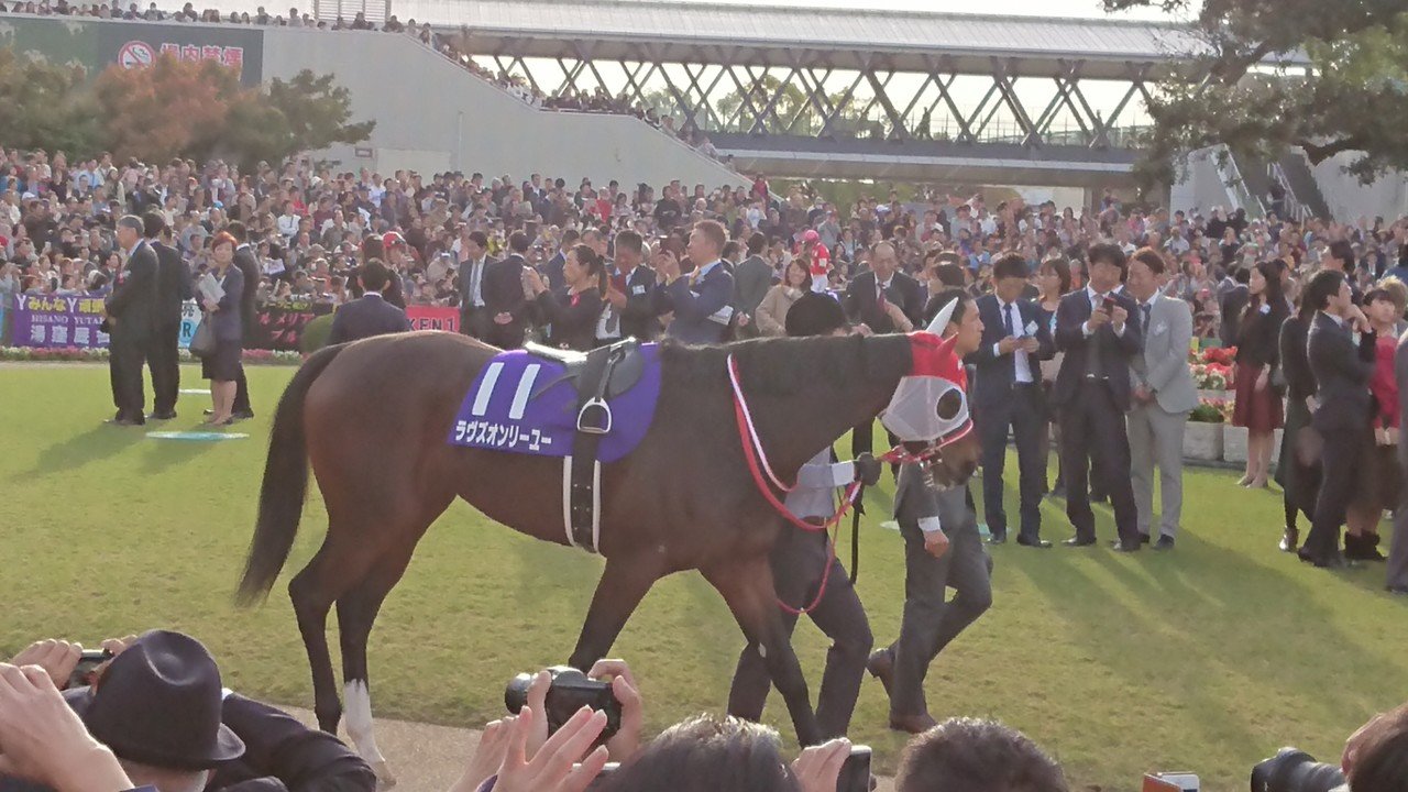 一口馬主を始めてからの記録②｜ブラザー