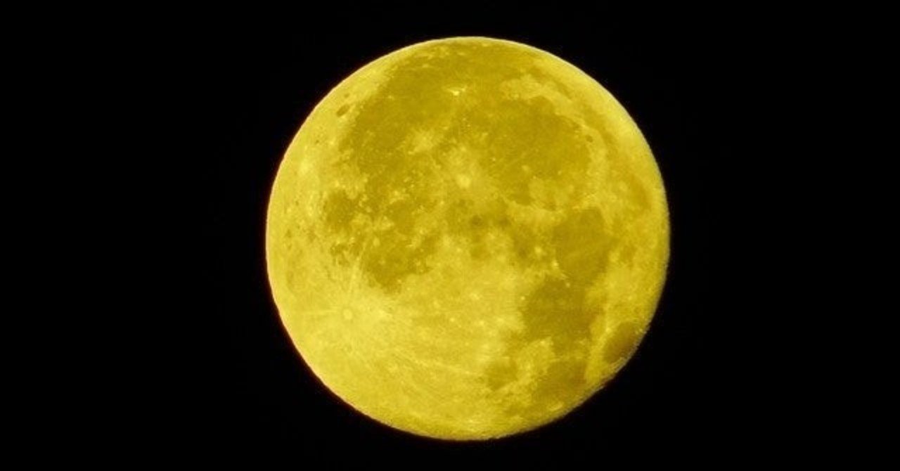 Hspはなぜエナジーバンパイアを引き寄せるのか 対処法あり 茶樹 Note Hspはなぜエナジーバンパイアを引き寄せるのか 対処法あり 茶樹 Note