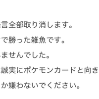 サイド6枚一気取り ライライライチュウゾロアーク Be Note