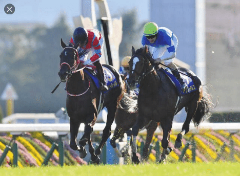 完全無料公開 歴史的一戦 ジャパンカップ見解 解説 前編 ちあきの考える競馬予想 Note
