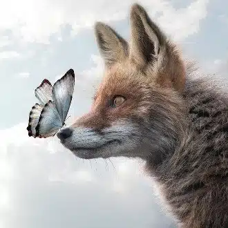 ここげ