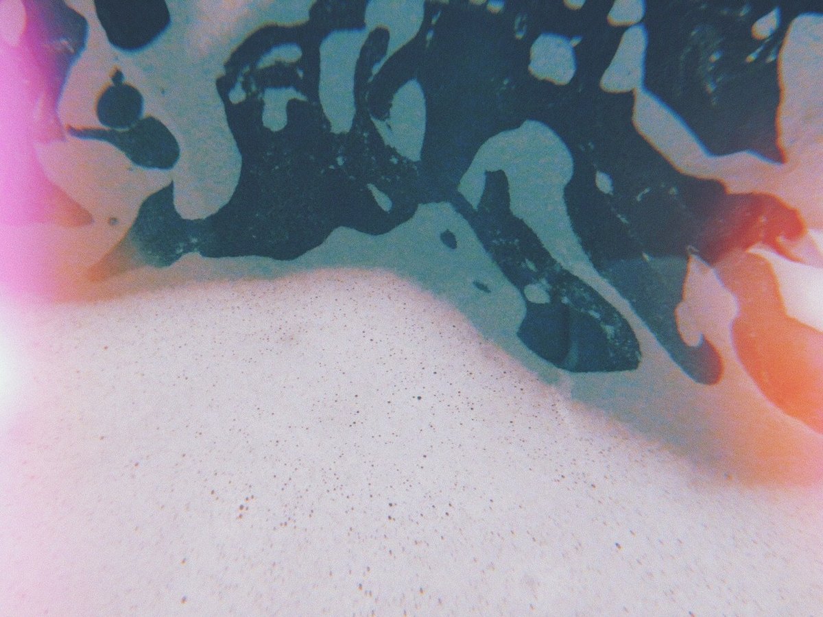 入浴剤を入れたお風呂の湯面の写真。