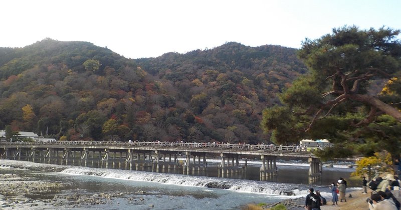 金木犀が秋の京都嵐山の風景をお届けします。