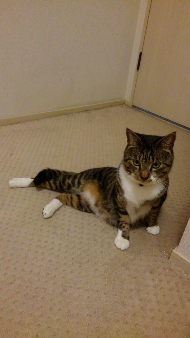 お姉かいな 大ちゃん Note