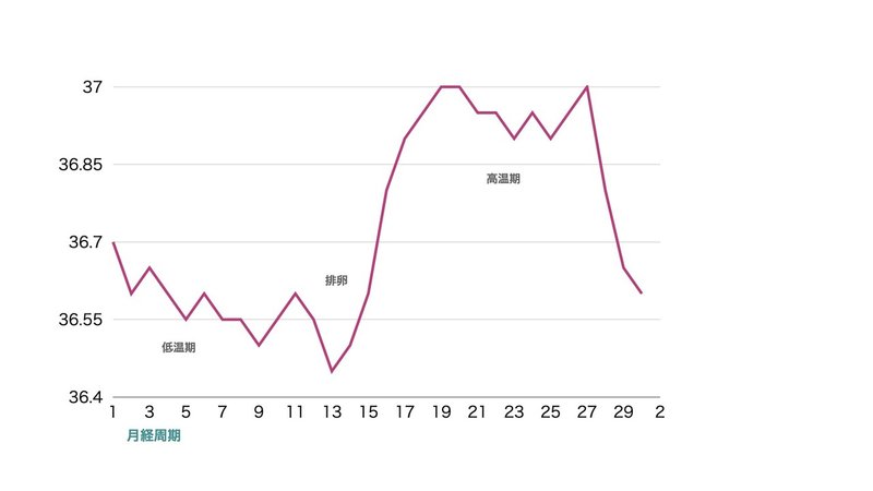 基礎体温グラフ.001