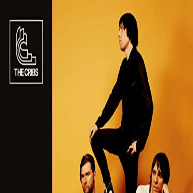 The Cribs / Night Network (2020) 感想｜もふおじ