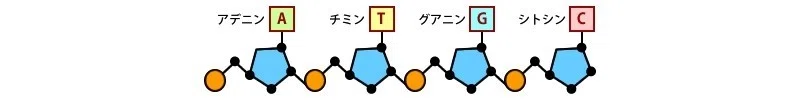 画像7