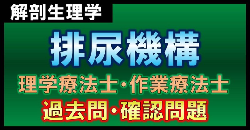 【解剖生理学】排尿機構・確認問題（理学療法士・作業療法士）