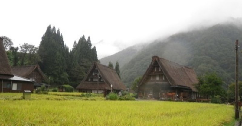 自分の全部をかけて空に届いた小さな芽の話