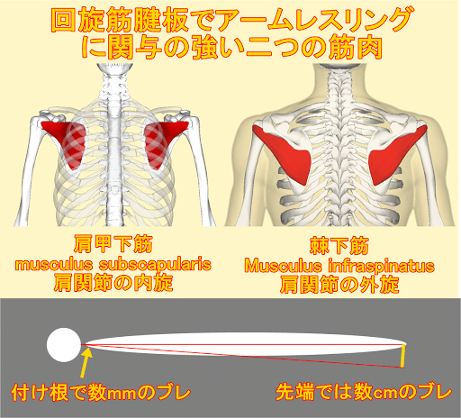 腕相撲 アームレスリング 手首 前腕に特化した筋トレグッズです