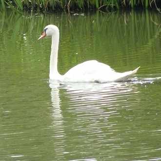 第19回マイトーク 武将の生き方 ミッチー Note