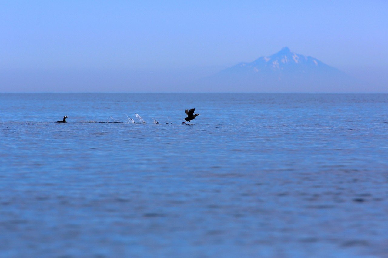 FIND/47に公開された情景写真が1000枚に達しました！｜FIND/47