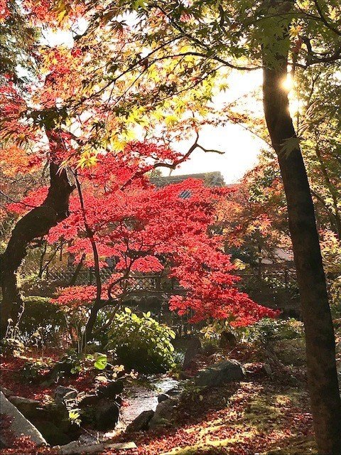 京の秋2