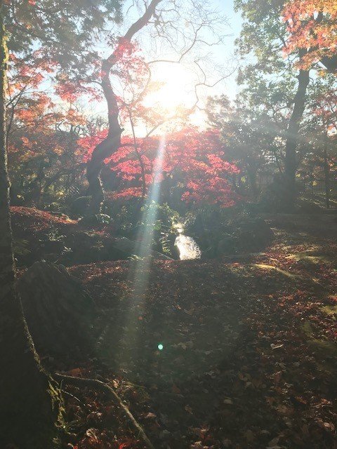 京の秋4