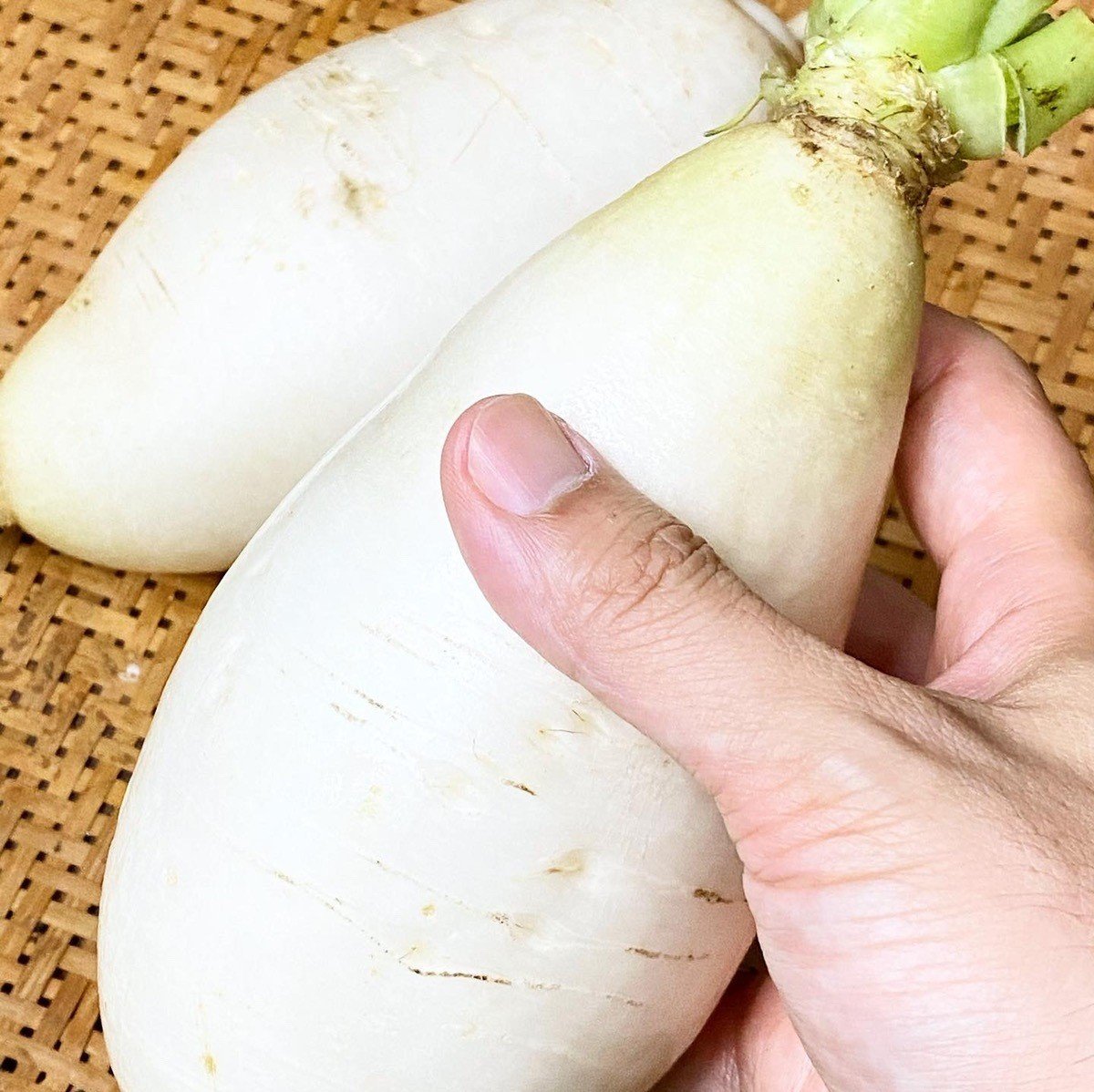 沖縄の野菜 島だいこん デークニ チャレンジ25日目 11 25 ヘイプー店長 Note 沖縄の野菜 島だいこん デークニ チャレンジ25日目 11 25 ヘイプー店長 Note