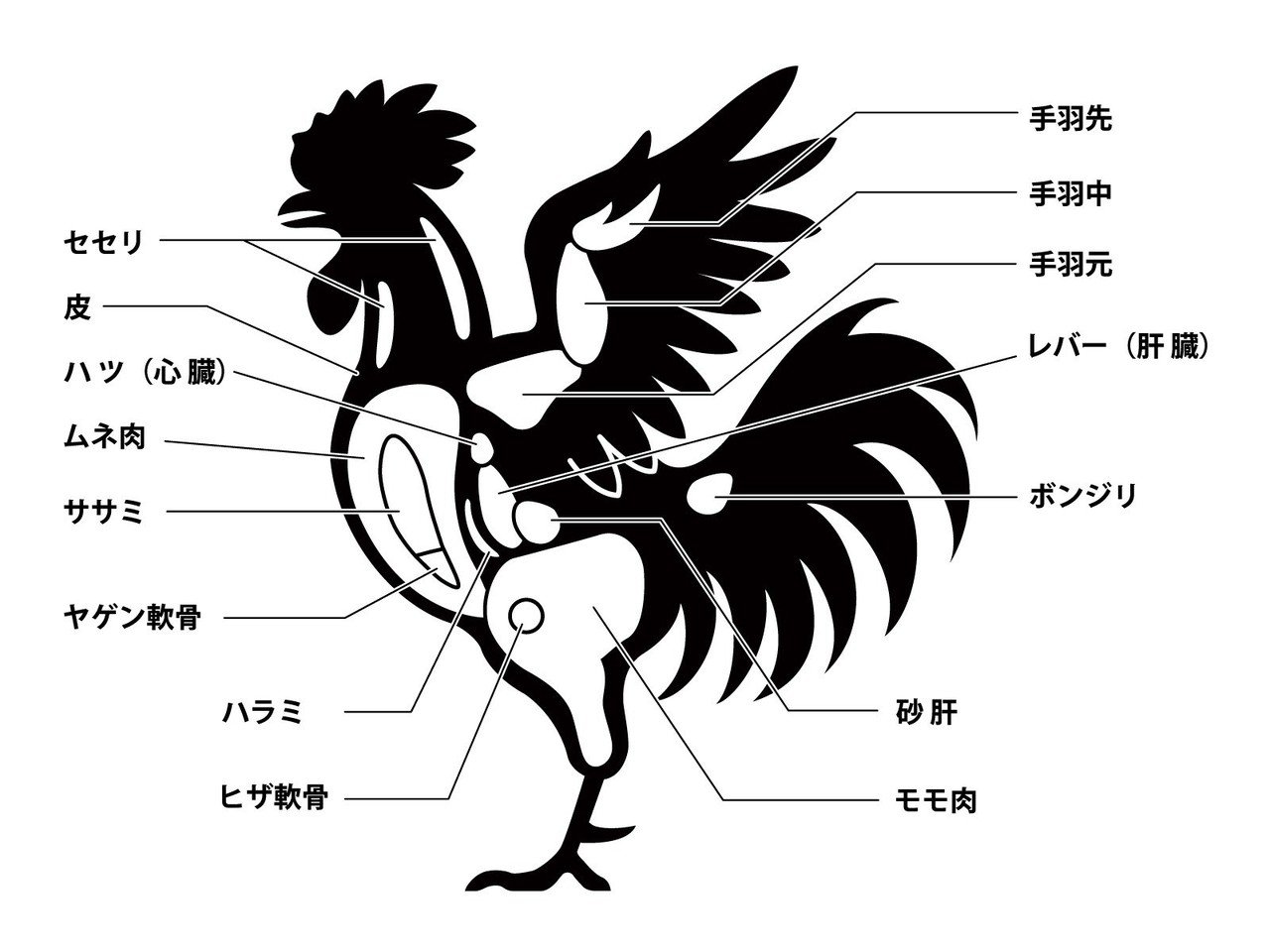焼鳥の部位紹介 王道 ペコリッチ Note